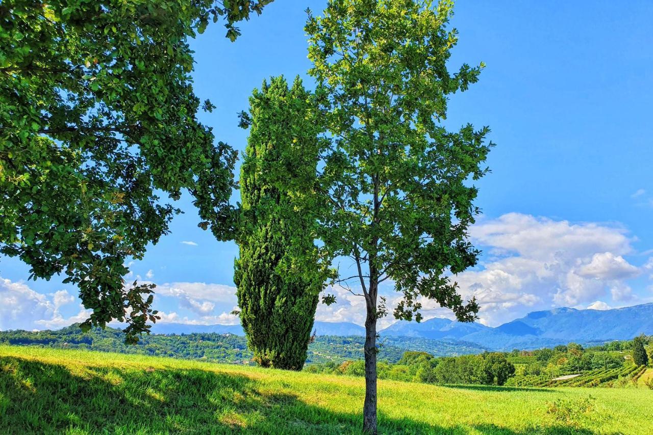 Tenuta Mani Sagge *